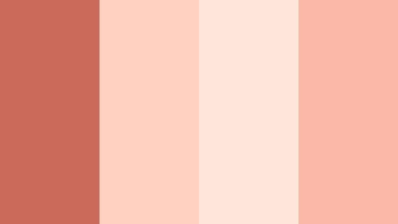 sunset blush story coral clay color palette with hex codes