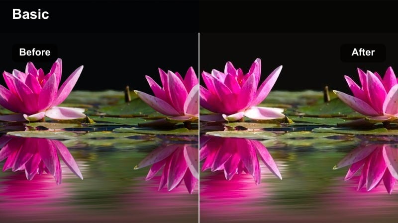 Traveler walking down a sunlit city street with a golden warm filter applied.