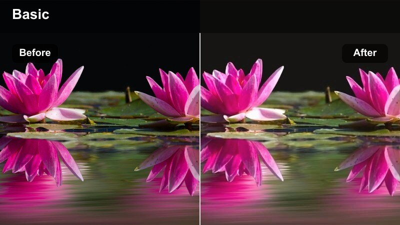 Couple walking at sunset in a city park with warm cinematic glow and soft highlights.