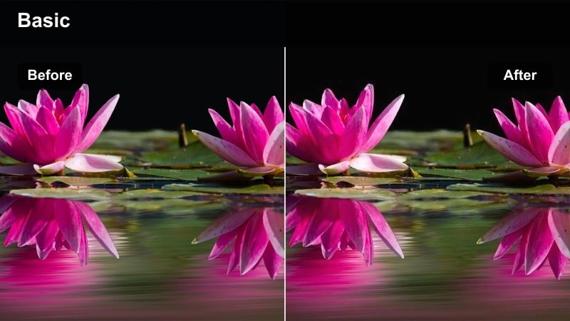 City skyline at sunset with warm golden tones applied to the video.