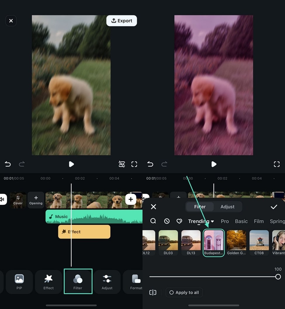 enhance talking dog video with filters