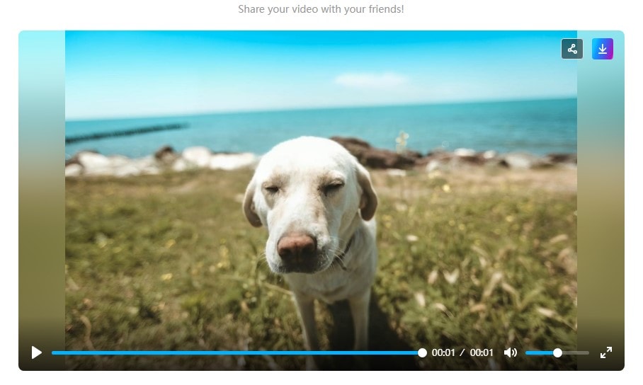 mango ai funny dog videos