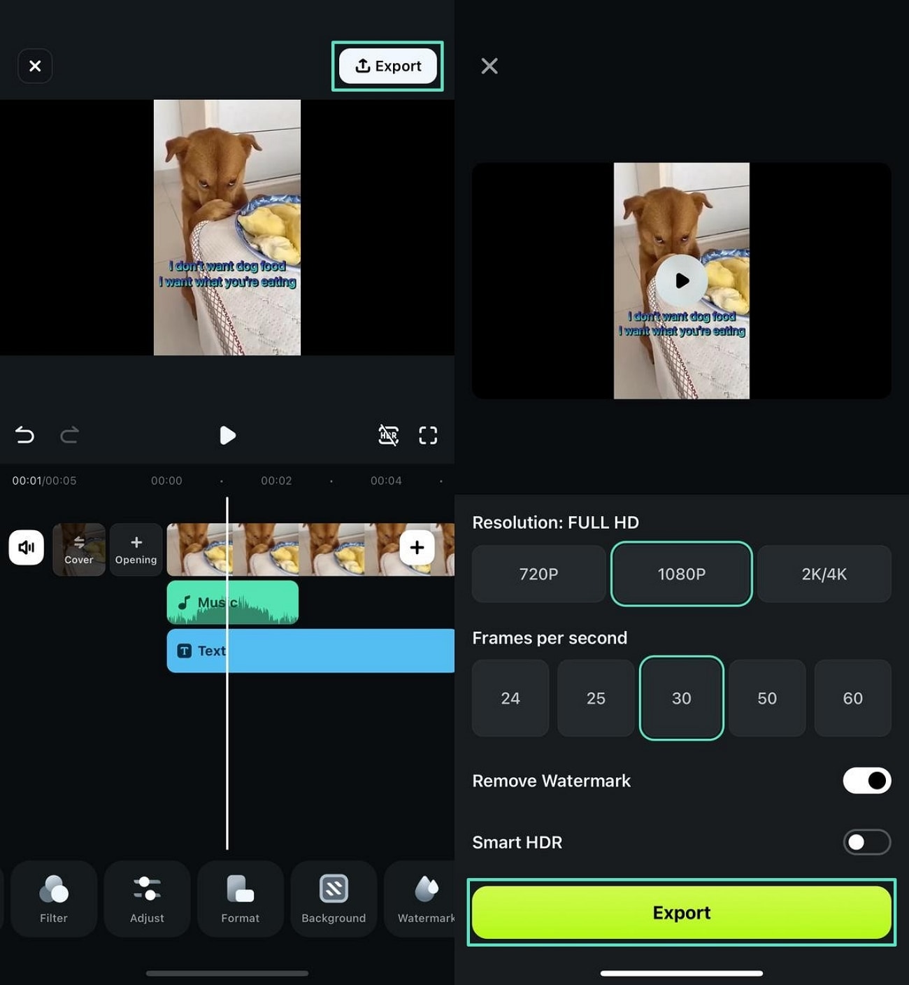export talking dog video