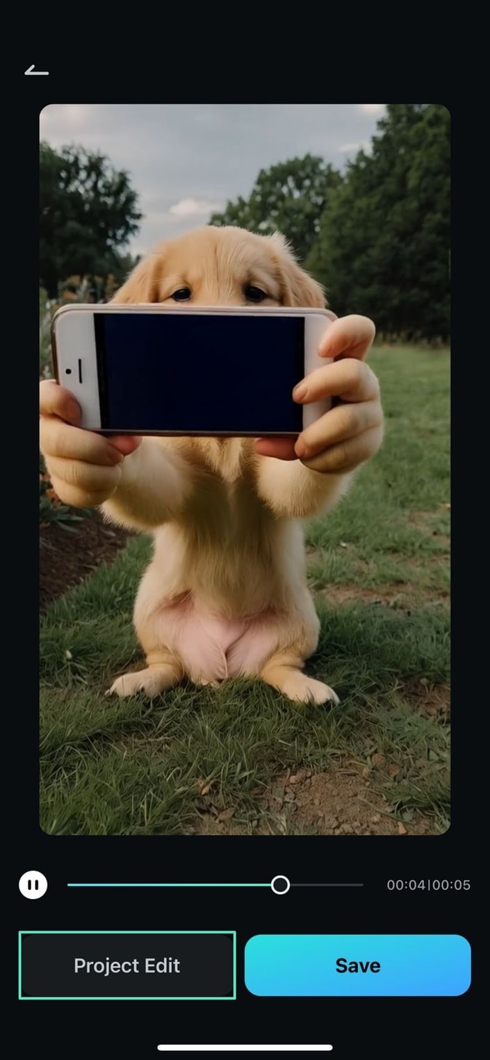 import video of dog