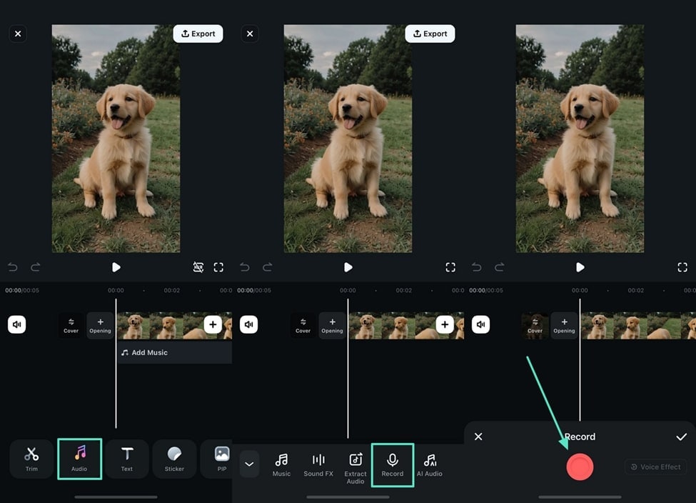 record voice to video