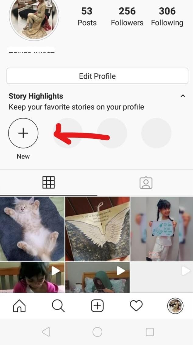 instagram stories and highlights viewer