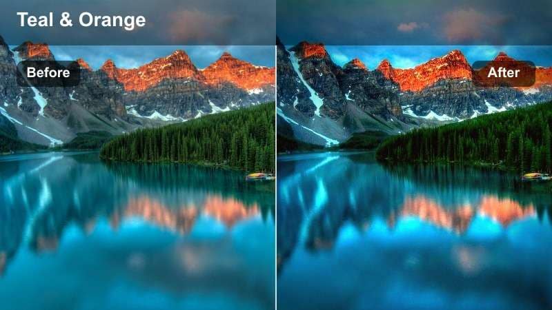 Stylized dark forest with teal shadows and warm amber highlights on select foliage.