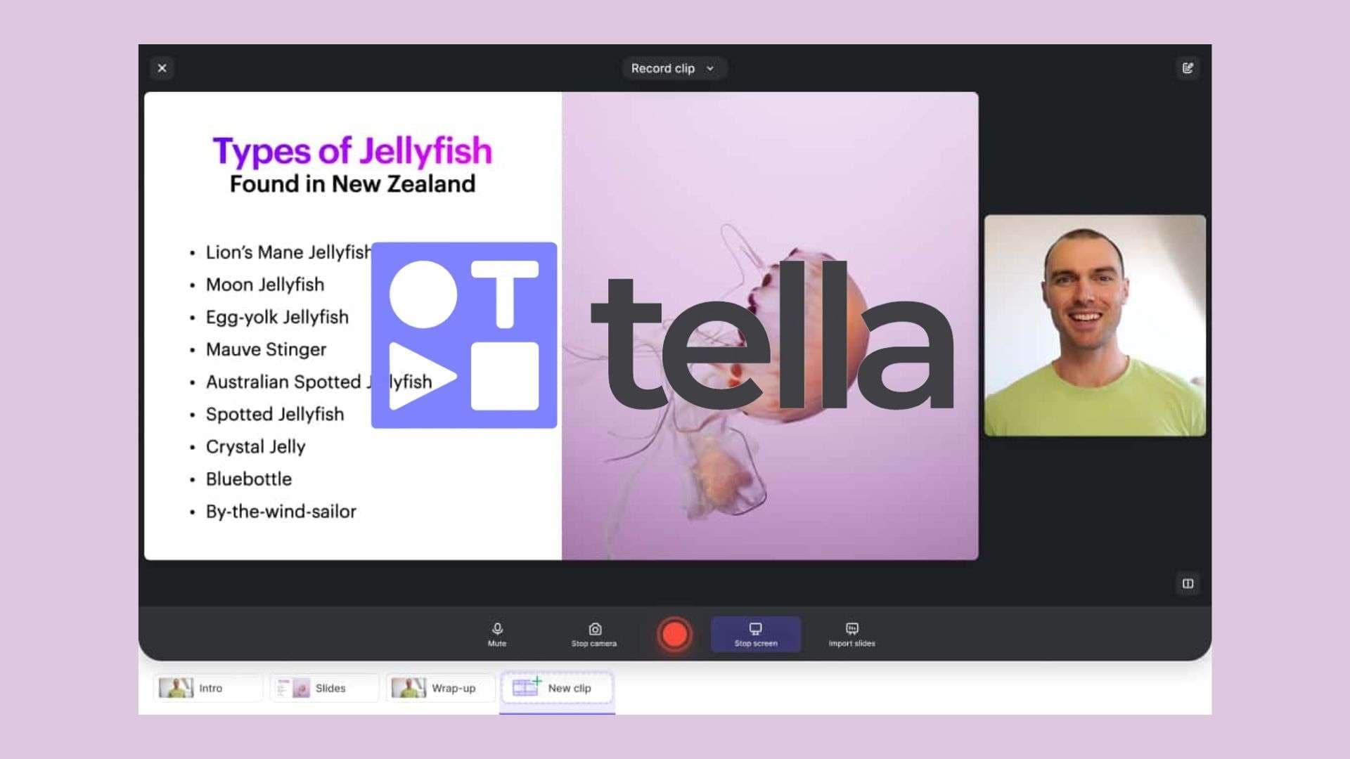 tella review