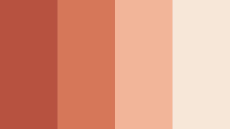 terracotta blush afternoon rust coral color palette with hex codes
