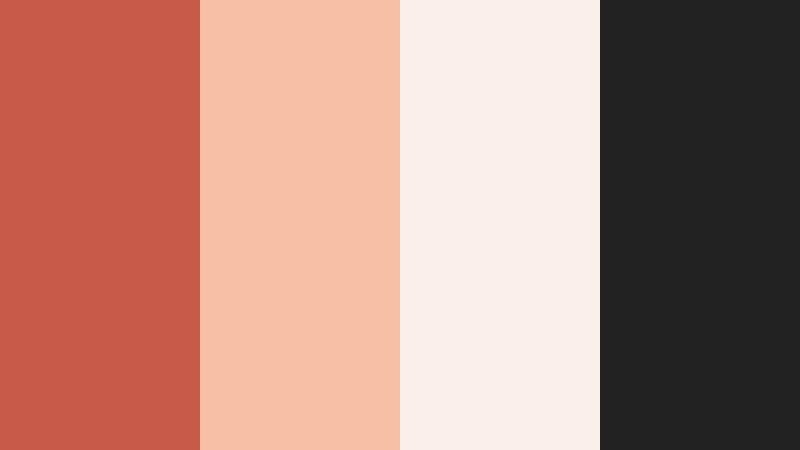 terracotta brand studio terracotta rose color palette with hex codes