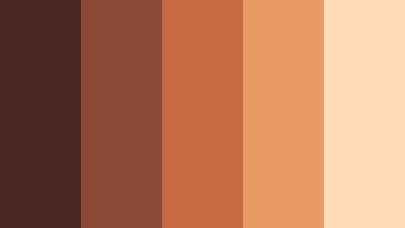 terracotta cocoa market dark cocoa color palette with hex codes