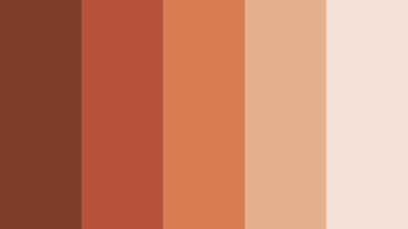 terracotta frame shorts color palette color palette with hex codes