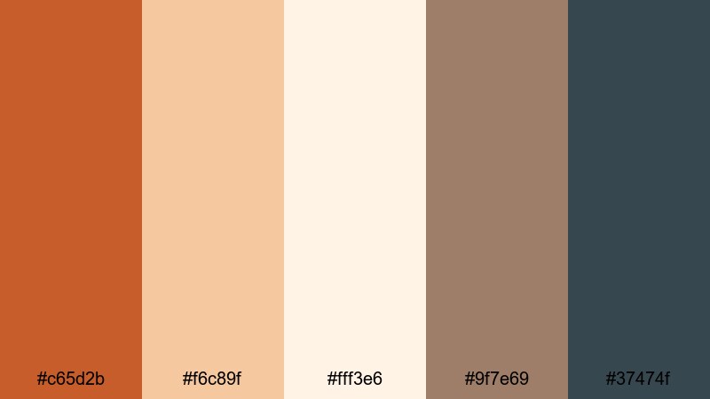 terracotta morning light burnt orange color palette with hex codes
