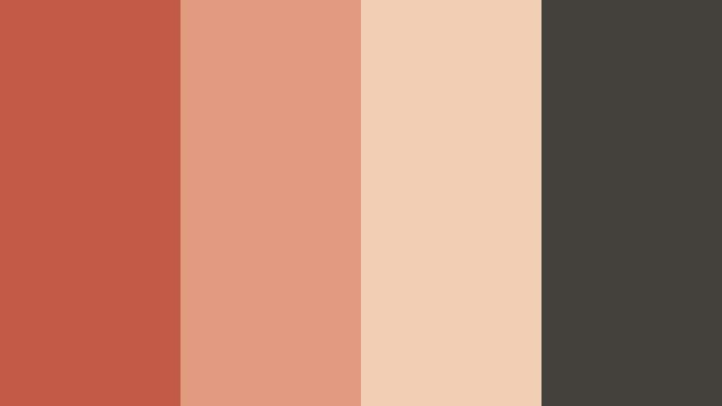terracotta railway dust terracotta rose color palette with hex codes