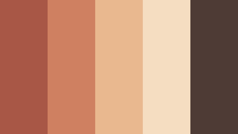 terracotta tablelight wedding video color color palette with hex codes