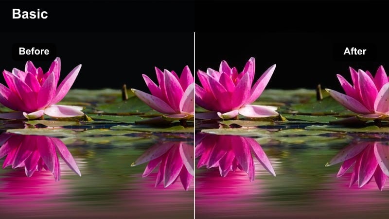 Macro shot of a finished dish surface with visible texture and crisp detail.