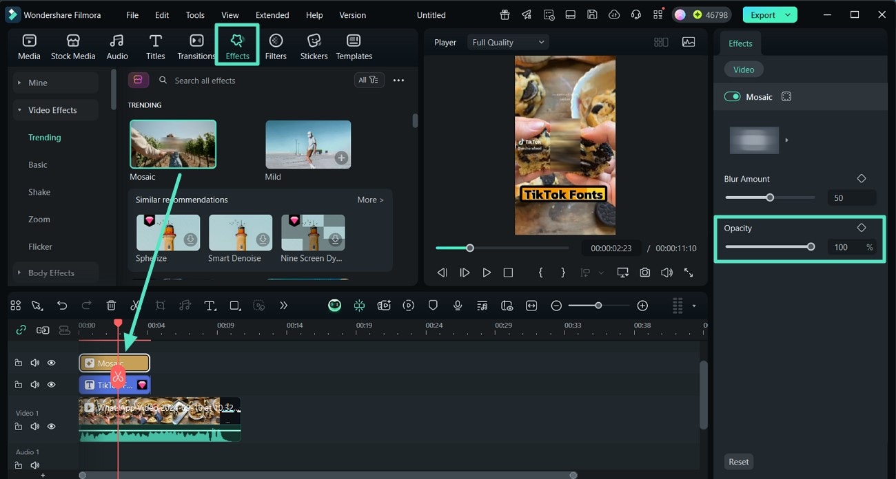 apply effects tiktok caption video