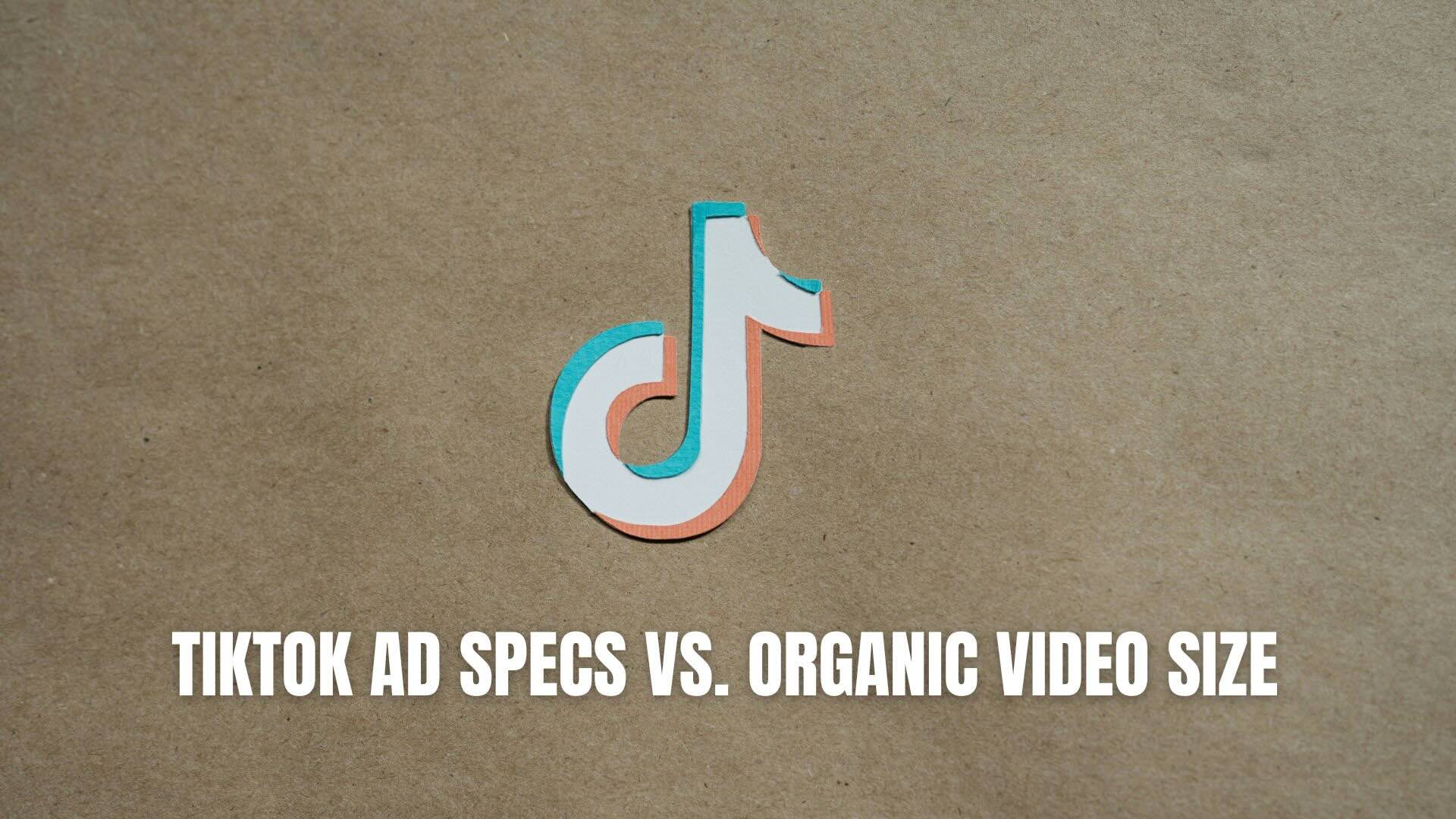 tiktok ad specs and organic video size