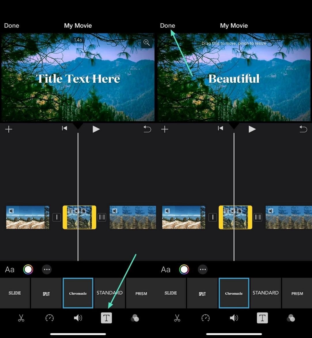 insert text and export