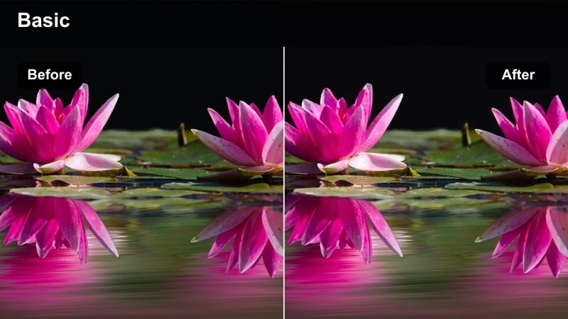 City plaza in daylight with balanced, timeless filmic color and gentle contrast.