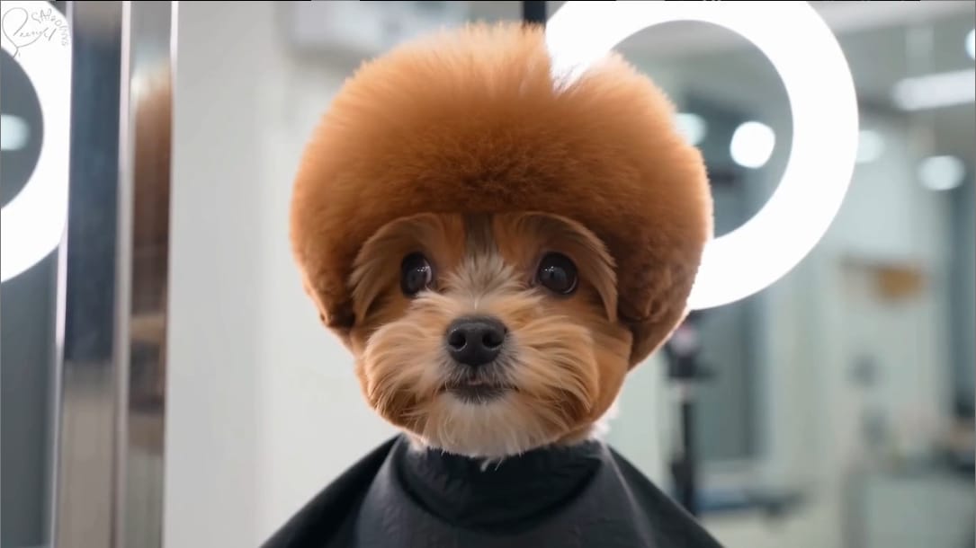 montage Beat-Sync IA