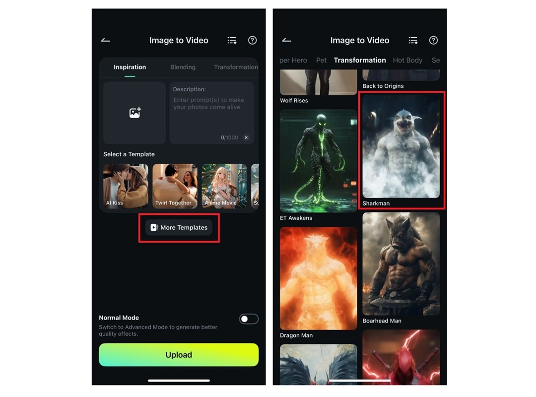 access more templates