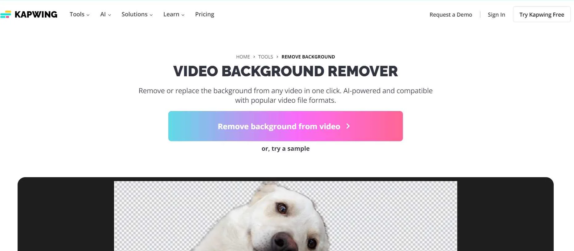 change background video online free kapwing 