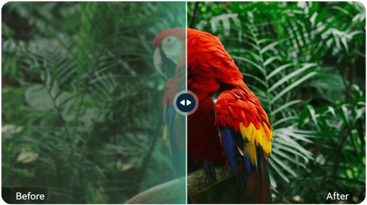 enhance low-quality photos with topaz ai