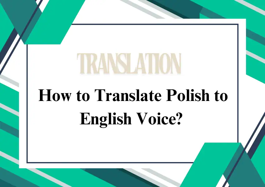 how to translate polish to english video