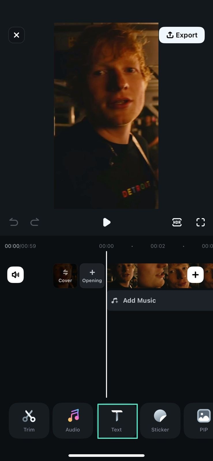 add text to video