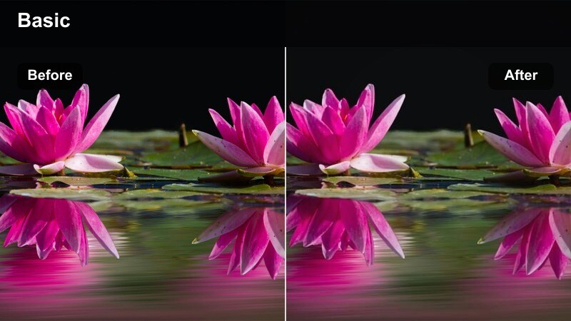 Daytime city street with neutral documentary color grade.