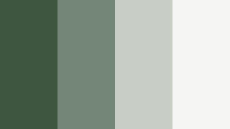 urban fern minimal woodland fern color palette with hex codes