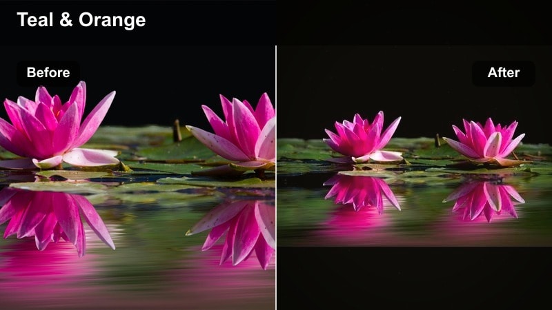 Cinematic matte filter on a city street daily vlog Reel.