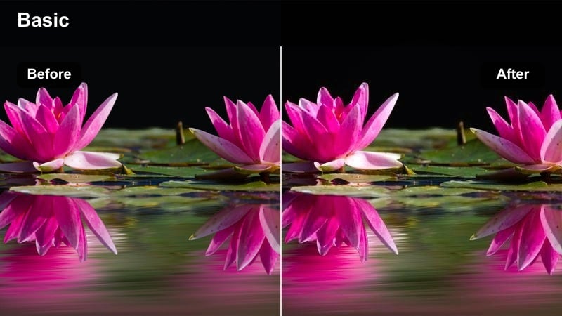 Stylish subject in golden evening light on a city street with deep shadows and vivid highlights.