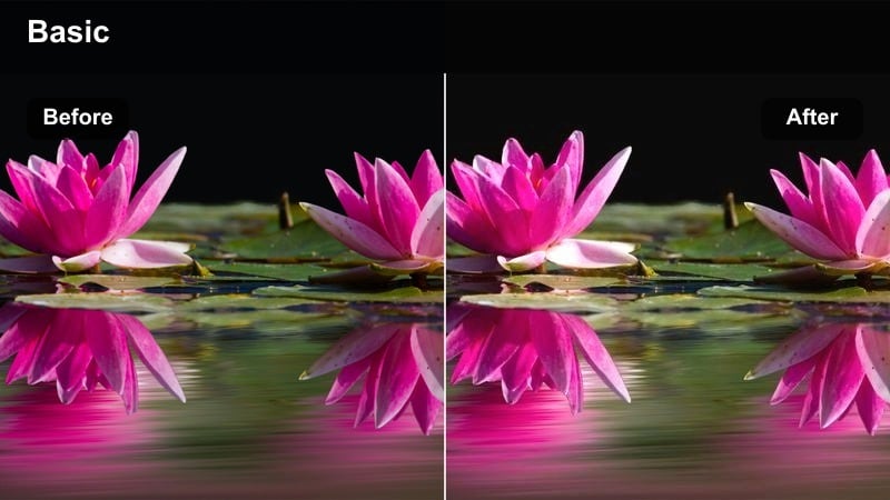 Fashion creator posing on a city sidewalk using a warm neutral color graded video filter