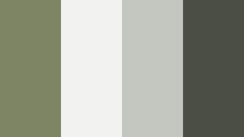 urban olive concrete olive mist color palette with hex codes