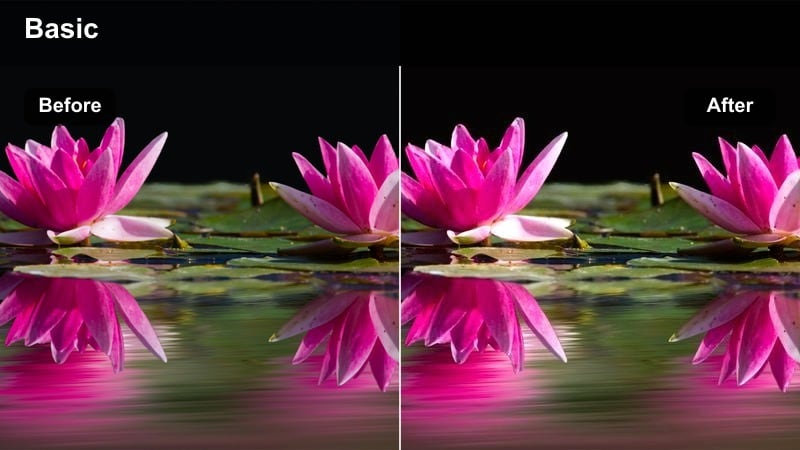 Rainy city street at night with wet pavement and subtle cinematic grading.