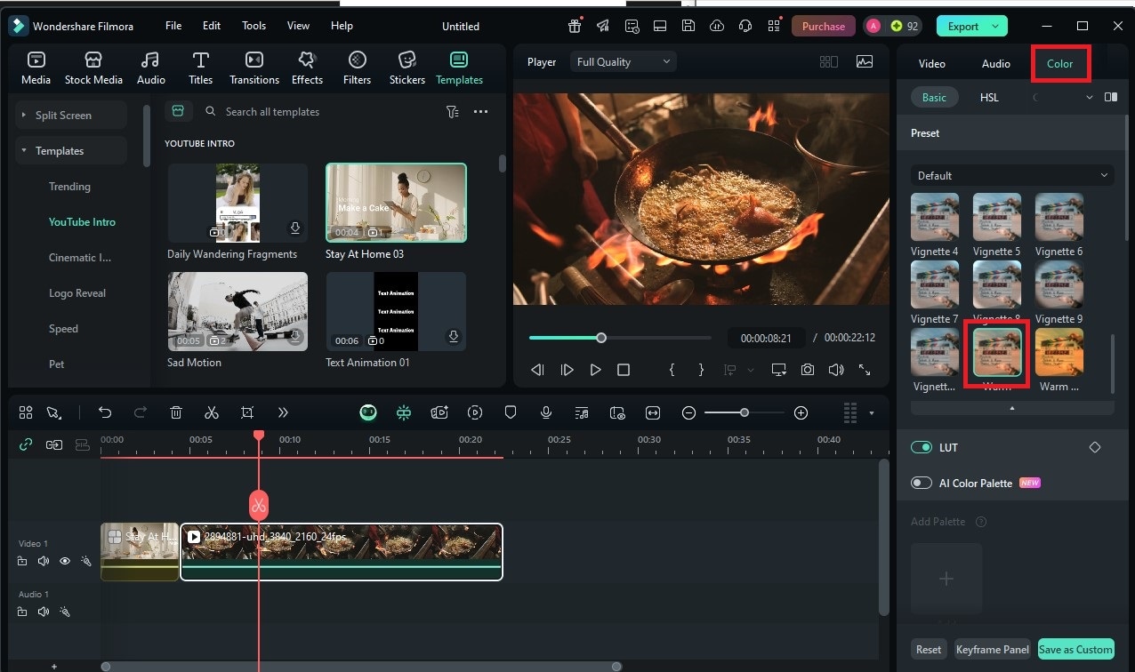 vegan video color grading