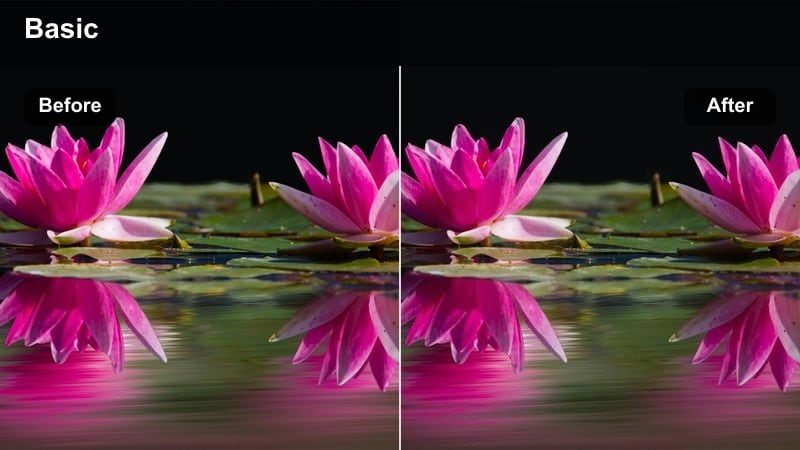 Guests at a night fashion event with deep cinematic color grading