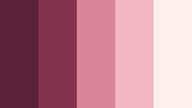 velvet petal glow burgundy and blush jewelry store color color palette with hex codes