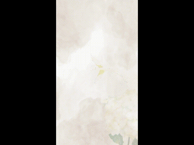 instagram reel aesthetic vertical template