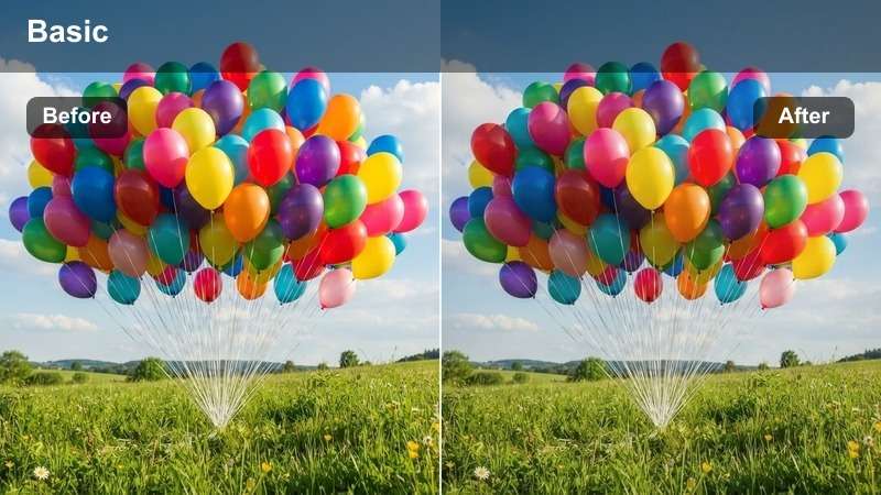 Vibrant Sync Tone LUT applied to festival footage