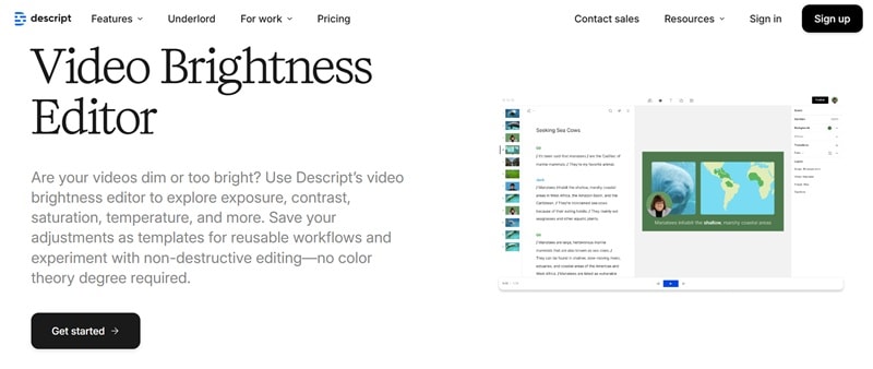 descript video brightness editor