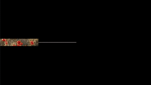 video collage template example