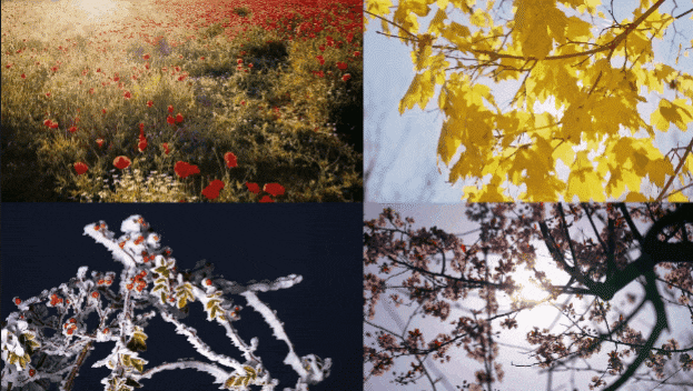 video collage filmora example