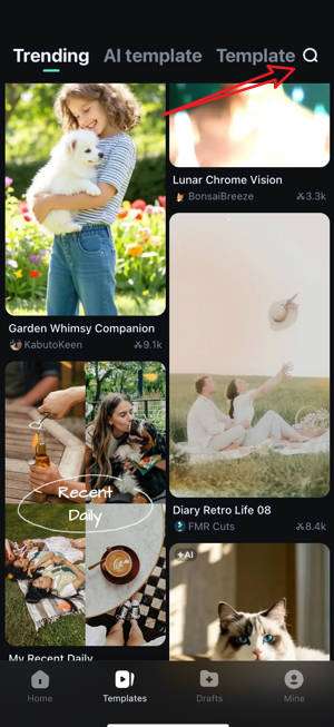 search for video template filmora mobile