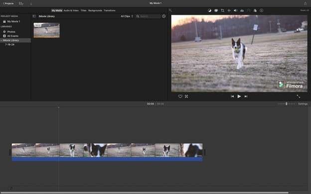 imovie import