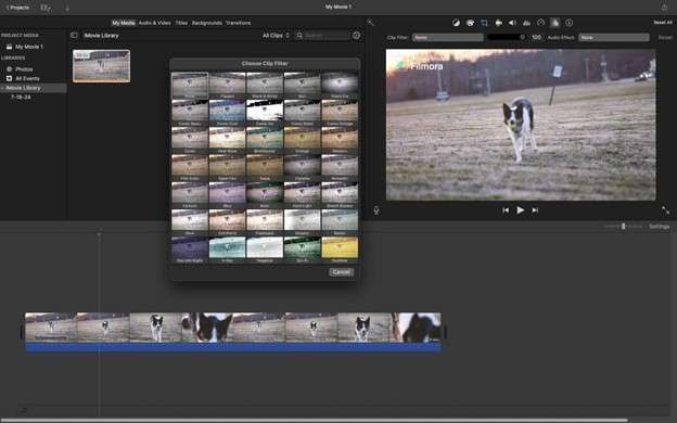 imovie filters