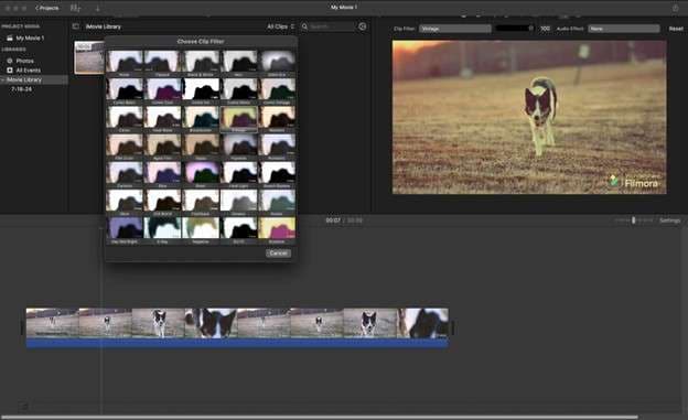 imovie video with filter