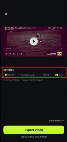 filmora settings for export